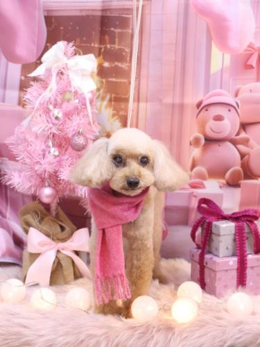 20241213うたちゃん